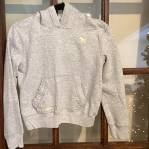 Abercrombie Kids Light Gray Hoodie